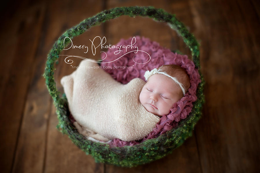 Rhode Island Newborn Photography, RI Newborn Photography, Dimery